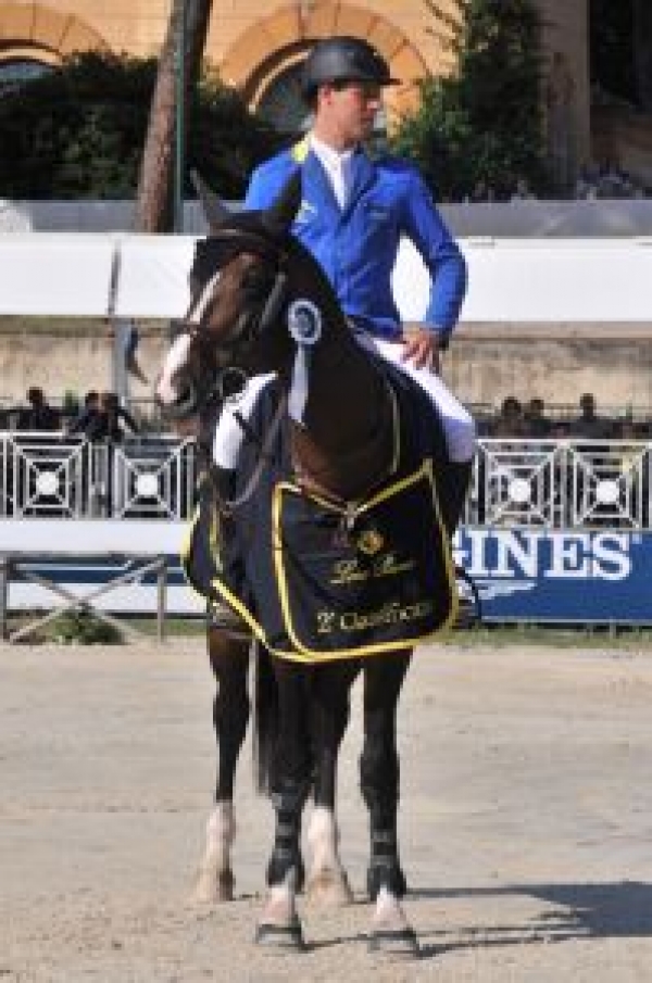 School Girl 8class Xxxindian Video - Federazione Italiana Sport Equestri - Allevamento: una stella a forma di Z